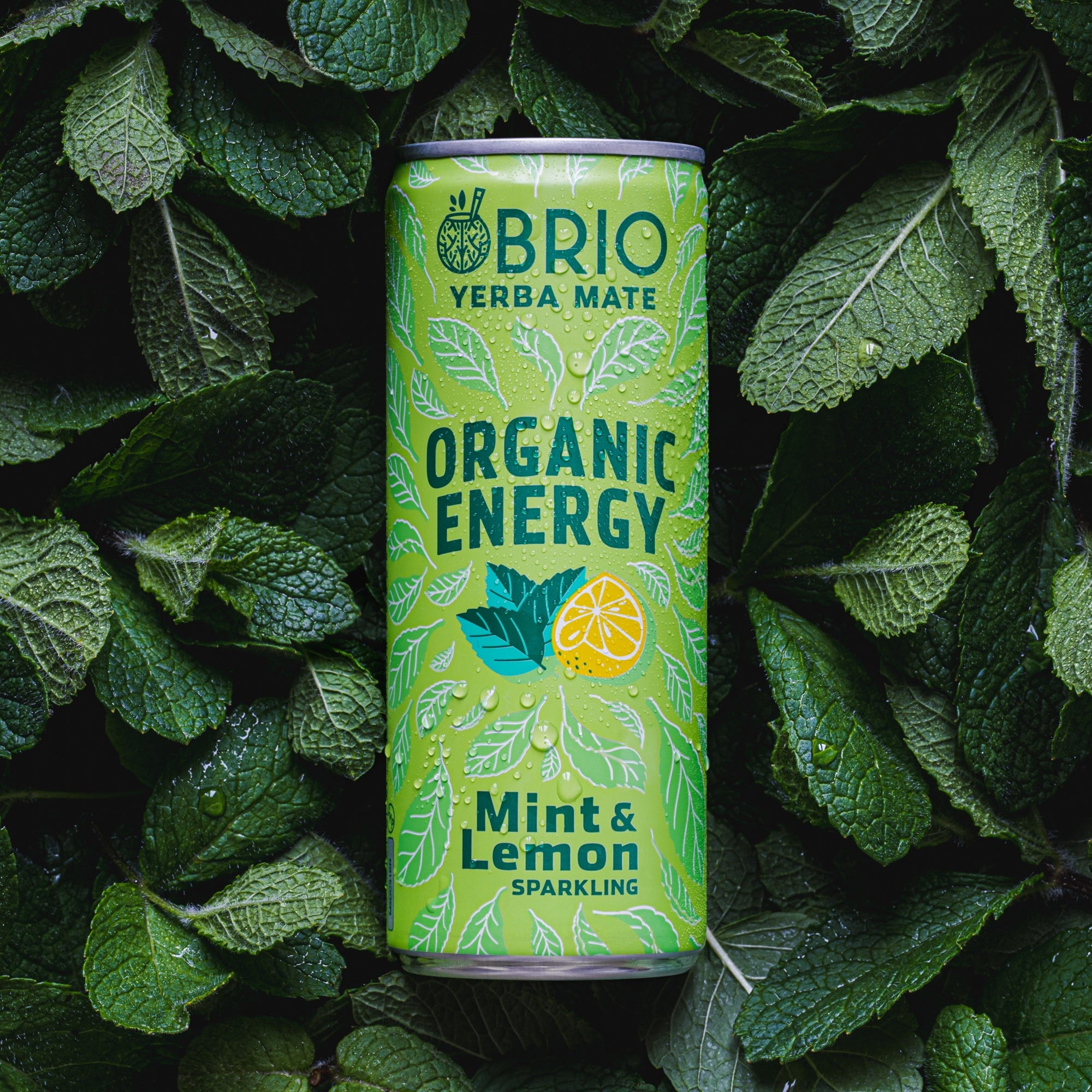 Brio Maté Energy Drink Naturel Bio fond de menthe canette 250ml