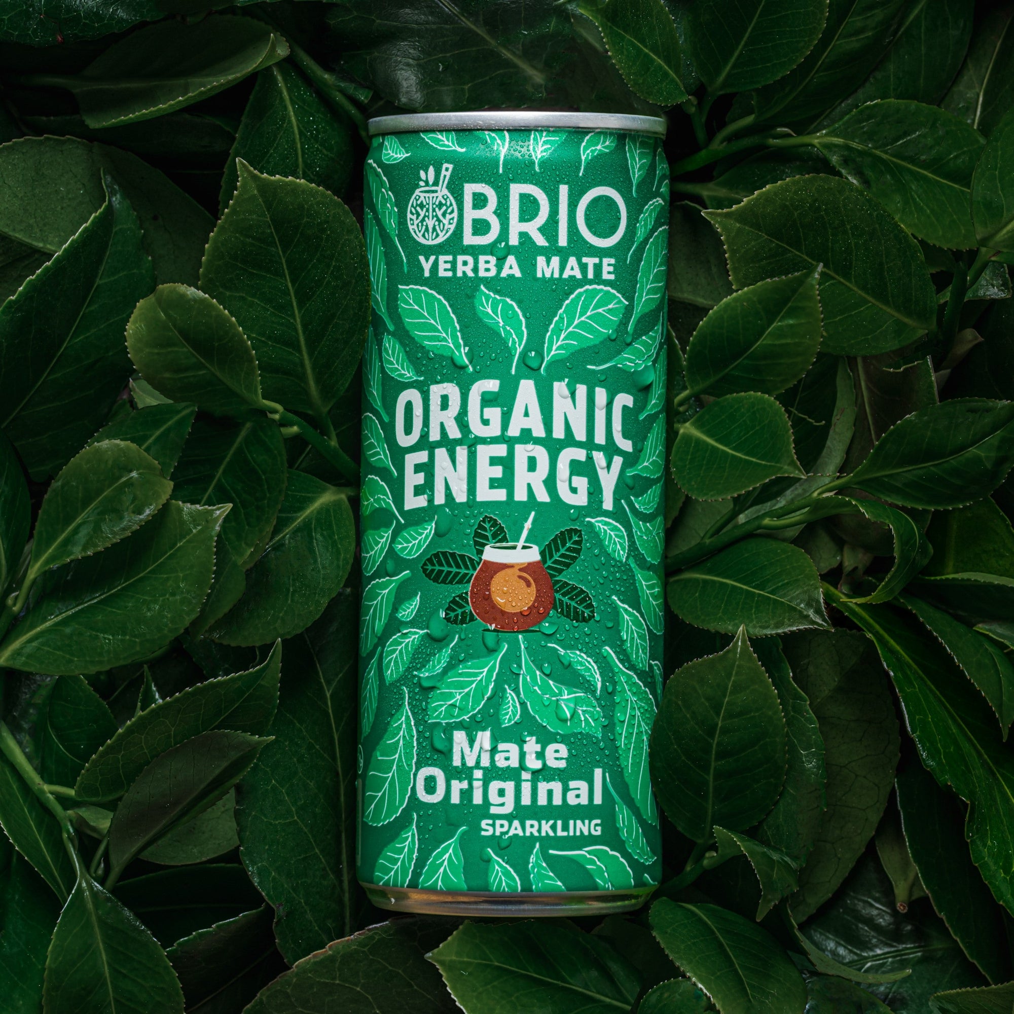 Brio Maté Energy Drink Naturel Bio fond de yerbamaté canette 250ml
