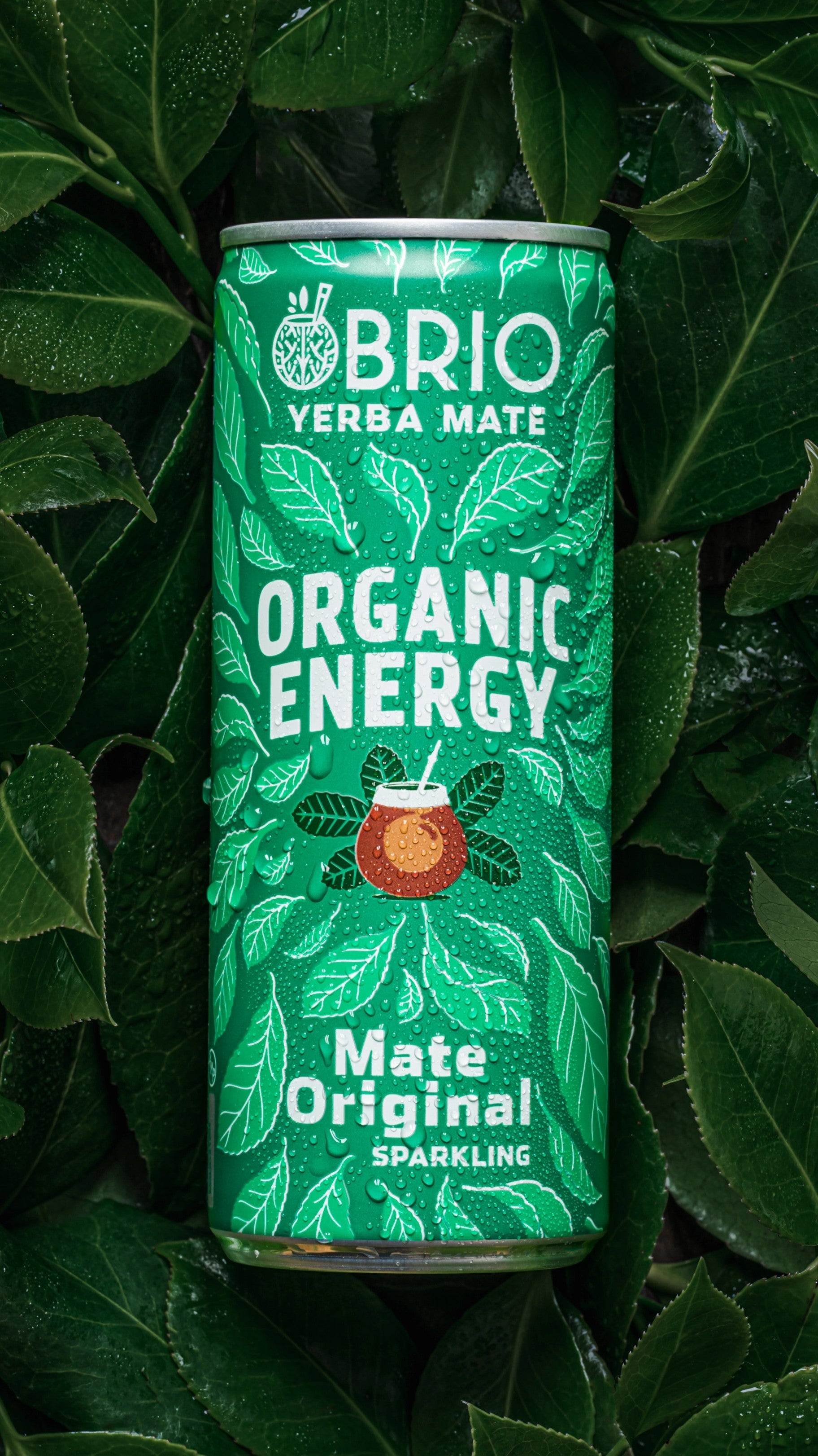Brio Maté Energy Drink Naturel Bio canette 250ml feuilles yerbamaté original